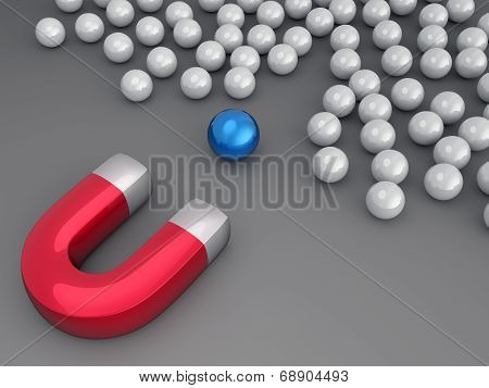 SEO magnet