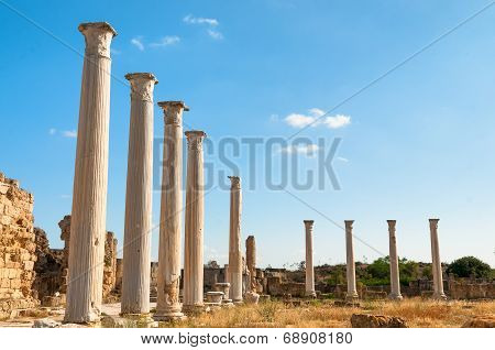 Ancient Salamis Ruins. Famagusta, Cyprus
