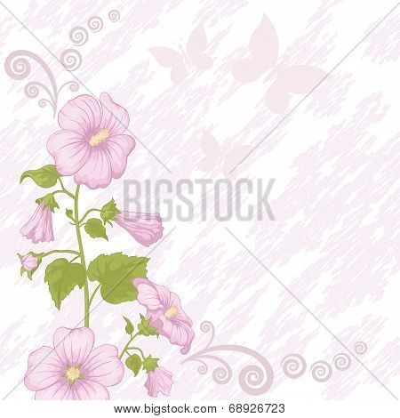 Holiday background with mallow flowers