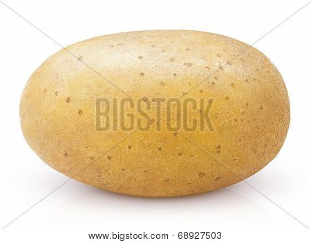 Potato Isolated On White