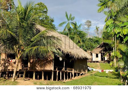 Amazon Indian Tribes In Colombia