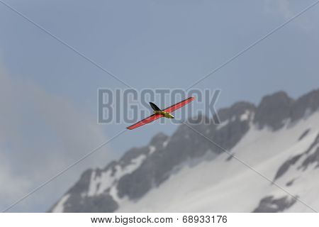 Radio Controlled Model Airplane In Flight