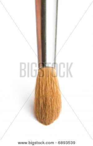 Marten Paintbrush