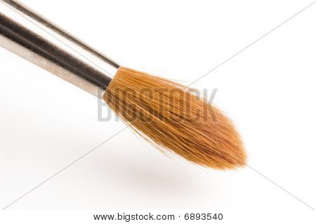 Marten Paint Brush