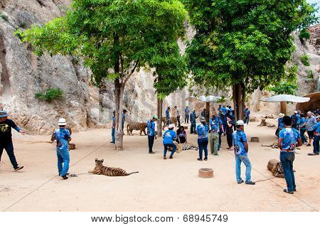 Tourists posing with tigers at the Tiger Temple in Kanchanaburi, Thailand.