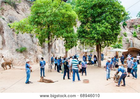 Tourists posing with tigers at the Tiger Temple in Kanchanaburi, Thailand.