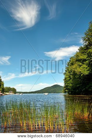 Oxbow Lake