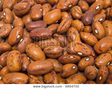 ถั่ว Borlotti