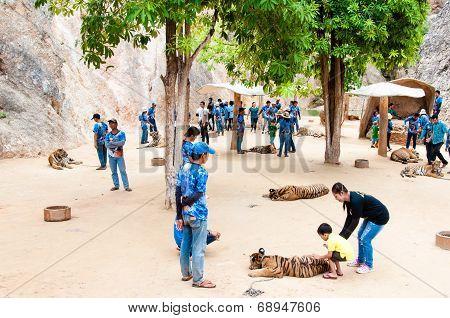 Tourists posing with tigers at the Tiger Temple in Kanchanaburi, Thailand.