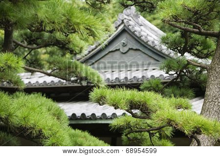 Japan, Tokyo, Tokyo Imperial Palace, Rooftop of Otemon (East Gate) seen through trees