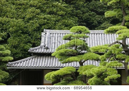 Japan, Tokyo, Tokyo Imperial Palace, Rooftop of Otemon (East Gate) seen through trees