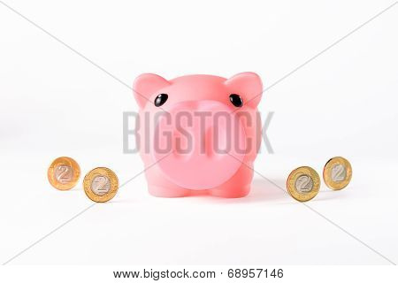 Piggy Bank And Coins