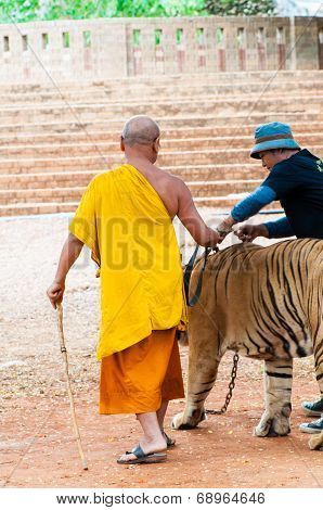 Buddist monk with Bengal specimen at the Tiger Temple, Thailand