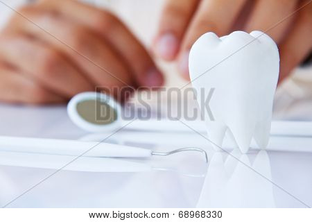 dentist holding molar,dental concept