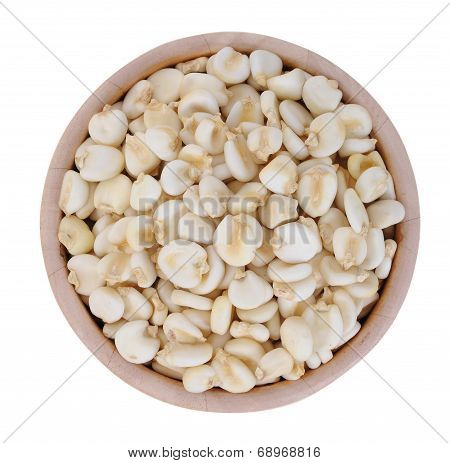 Giant Whilte Corn