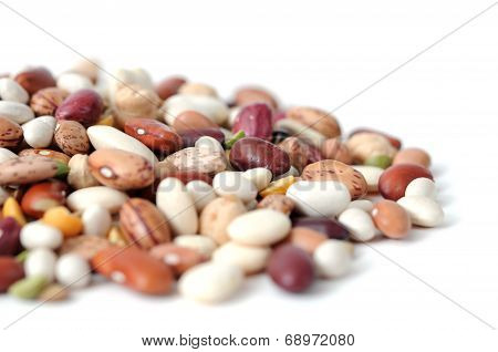 Mix Bean