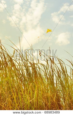 Summerly Childhood Memories