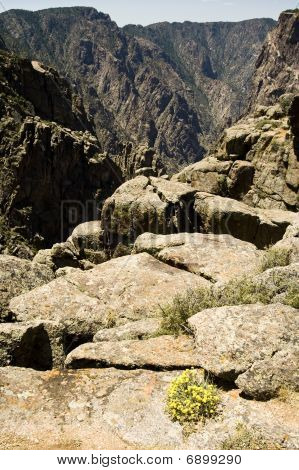Gunnison Canyon