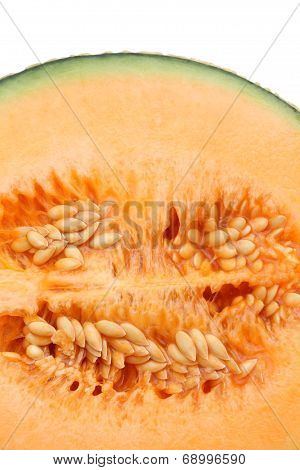 cantaloupe melon