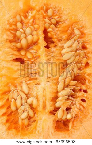 cantaloupe melon