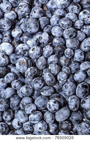 blueberry background