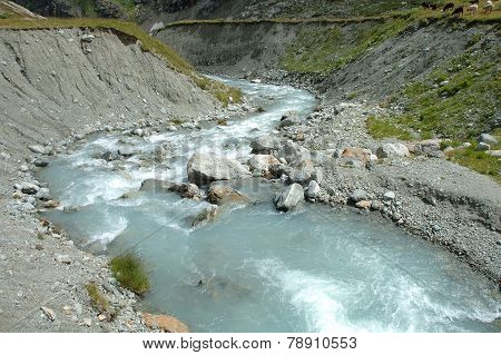 Gill In Valley Nearby Glacier In Alps In Switzerland
