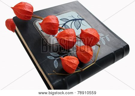 Book with flowers