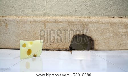 Piece Of Cheese In Front Of A Mouse Hole