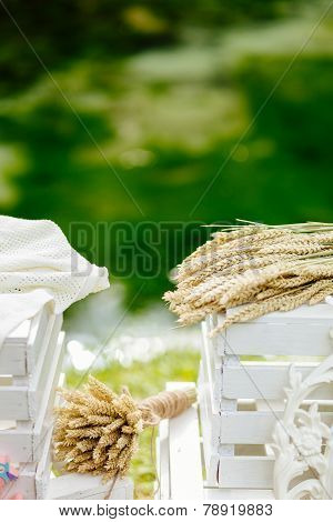 Bouquet With Spikelets Of Wheat Close Up With White Boxes