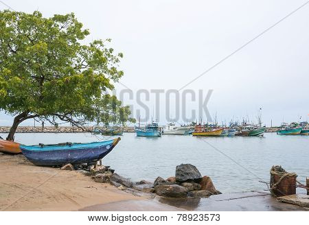 Fishing Boats In Tangalle Port
