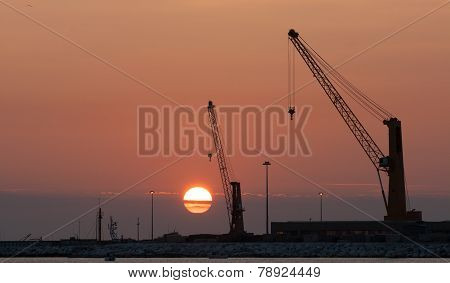 Cranes at sunset
