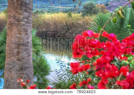 Glimpse Of Temo River, Sardinia