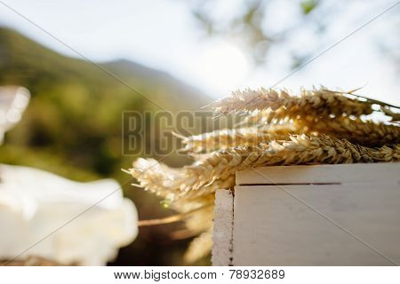 Wheat On The White Wood Box