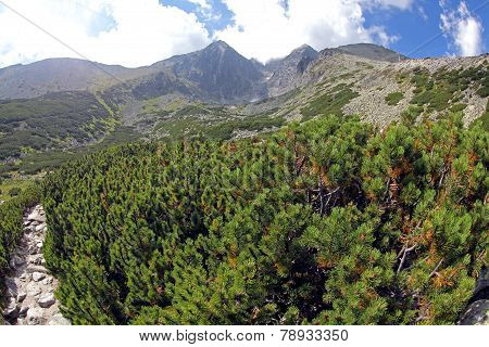High Tatras, Slovakia