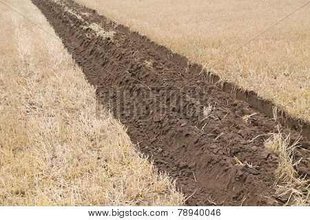 Farmers Field.