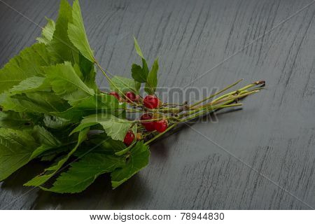 Stone Bramble