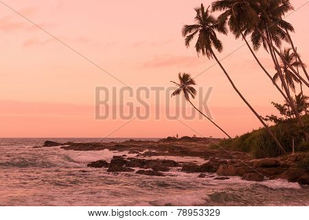 Pink Sunset Rocky Point