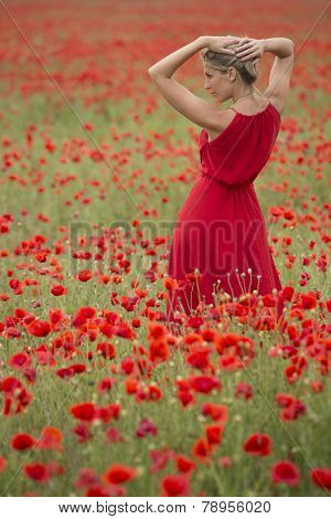 Beautiful blonde woman with red dress, in the middle of a poppy field
