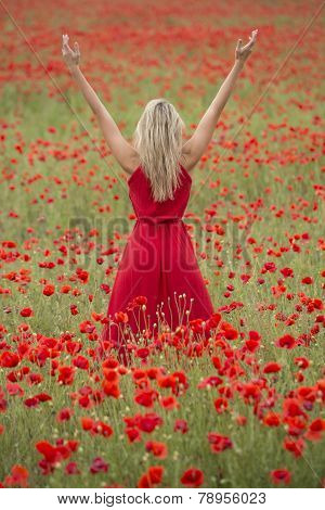 Beautiful blonde woman with red dress, in the middle of a poppy field