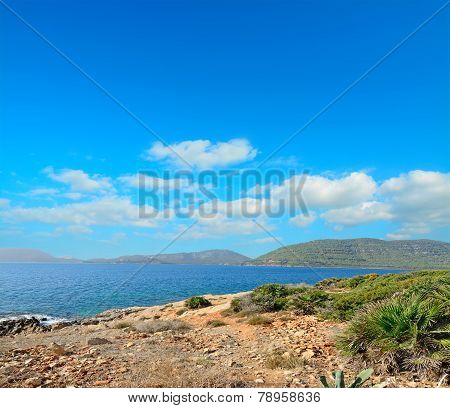 Porto Conte Shore Line