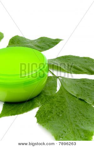 Crema per il viso con foglia verde