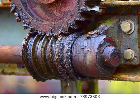 Old Worm Gear
