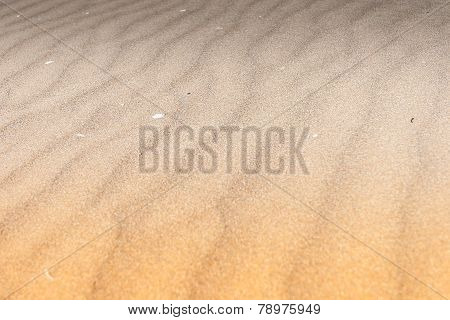 Souss Masa National Park