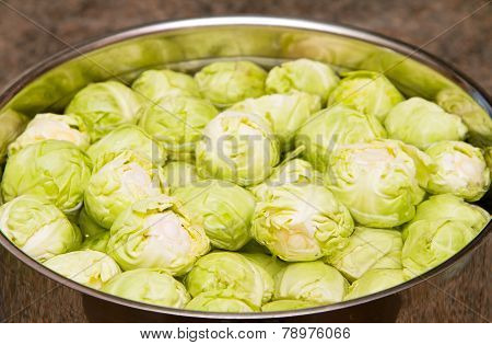 Raw sprouts in a pan