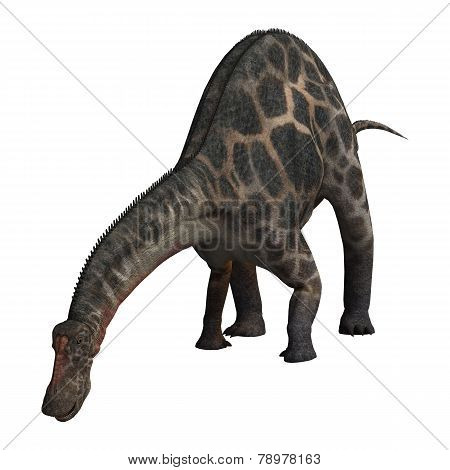 Dinosaur Dicraeosaurus