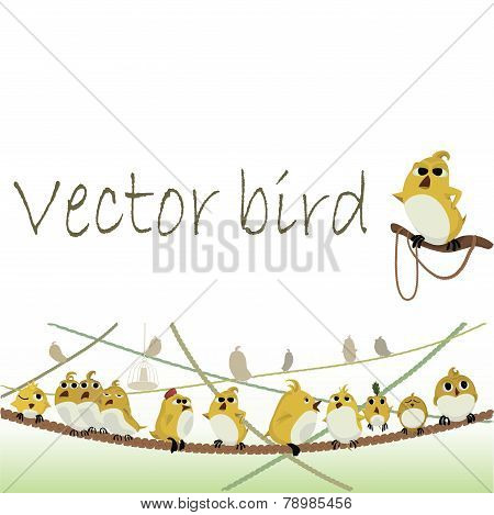 Vector Birds