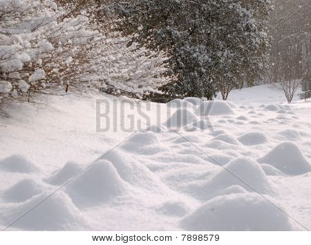 雪のバンプ