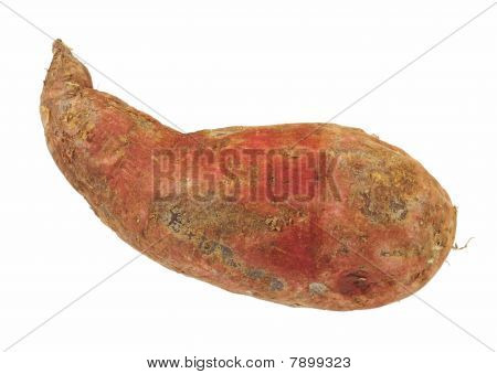 große batata