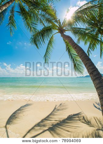 Tropical beach of Chaweng on Koh Samui island in Thailand