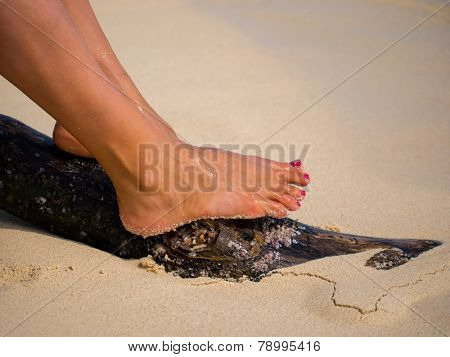 Woman feet on the sandy beach